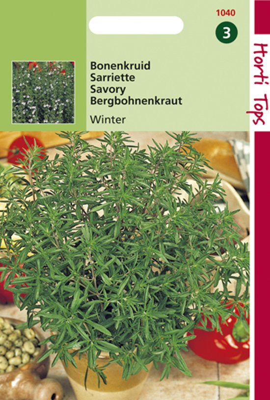 Bonenkruid meerjarig (Satureja montana) 1000 zaden